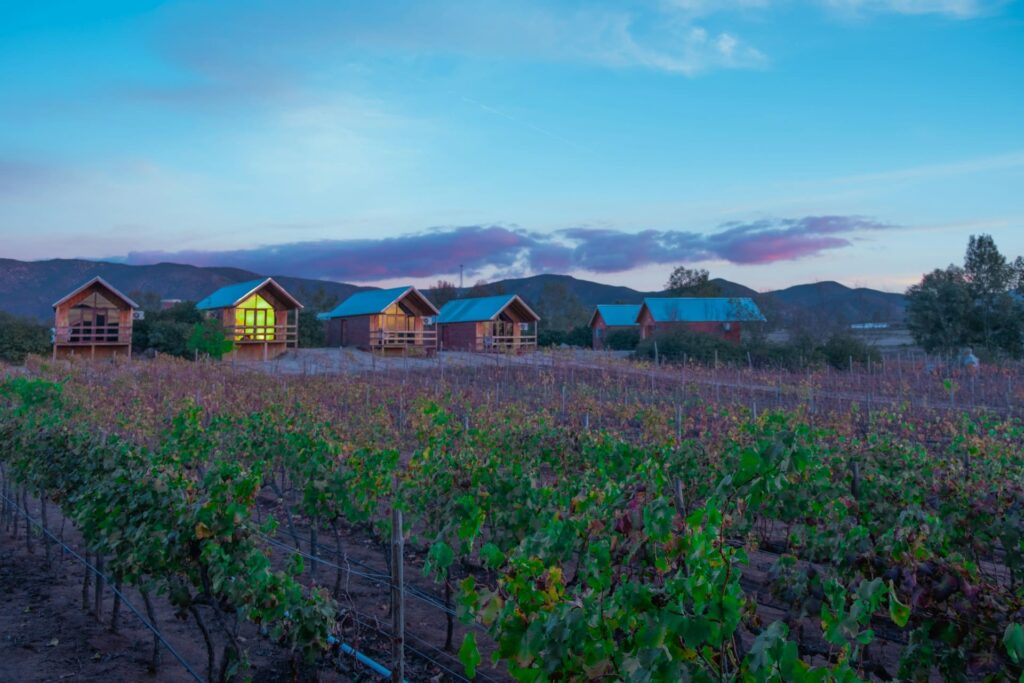 Baja California y Valle de Guadalupe